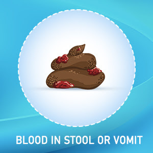 Blood in stool or vomit