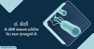 19. ઇ. કોલાઈ Blog