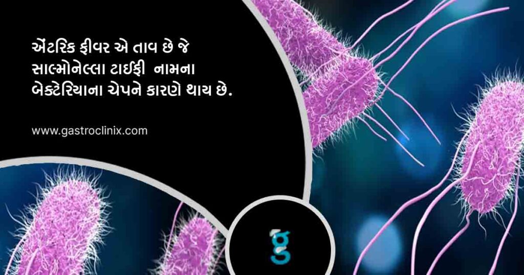 3 એંટરિક ફીવર blog