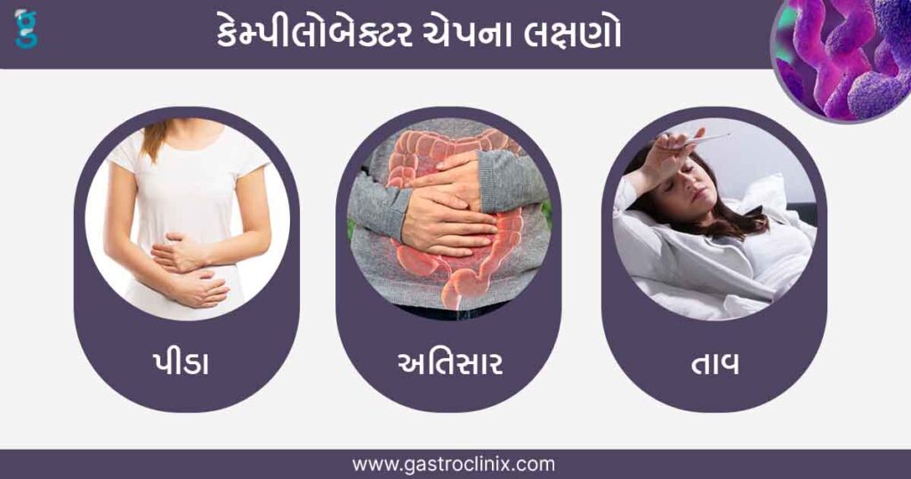 4 કેમ્પીલોબેક્ટર Blog