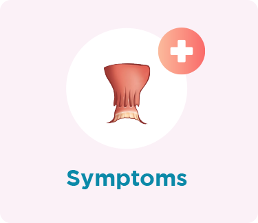 Anus Symptoms
