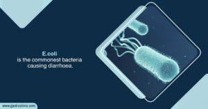 E. Coli Diarrhoea