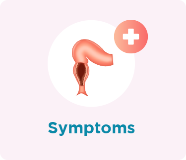 Rectum Symptoms