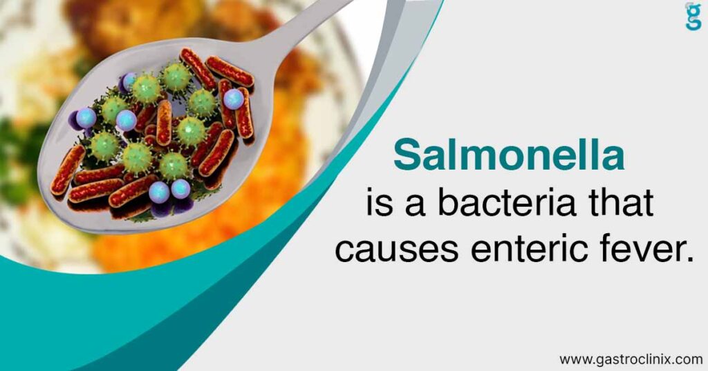 Salmonella infection