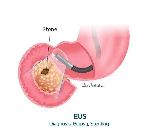 WhatsApp Image 2023 03 18 at 12.04.36 PM 2