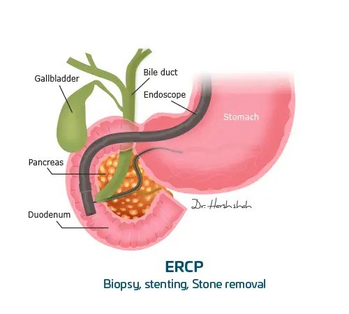 WhatsApp Image 2023 03 18 at 12.04.36 PM