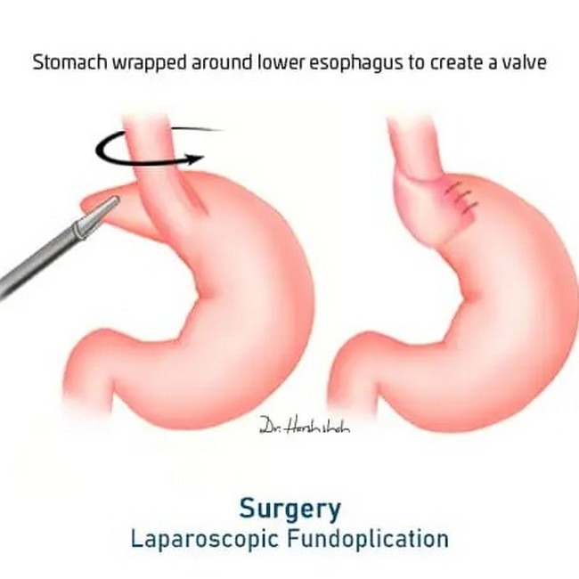 WhatsApp Image 2023 03 21 at 1.00.13 PM