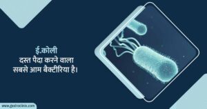 ई. कोलाई डायरिया का इलाज
