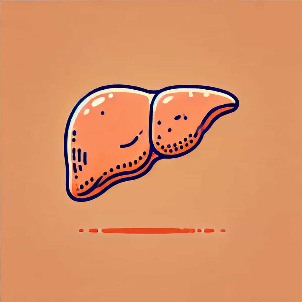 Understanding the Impact of Frailty on Liver Cancer Surgery