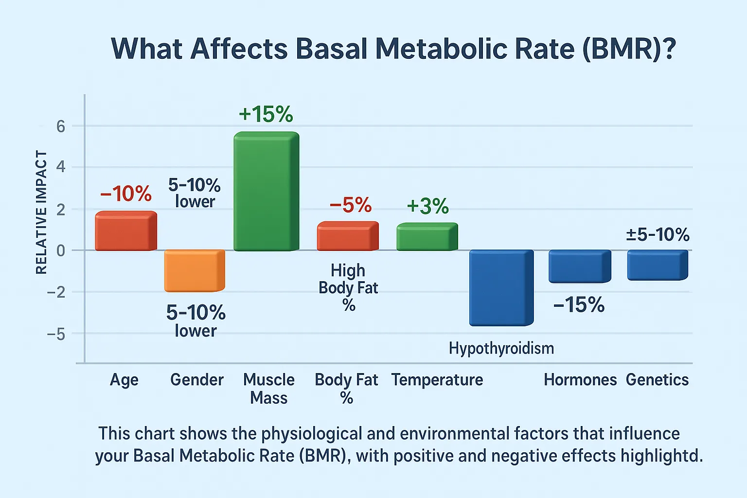 What Affects BMR