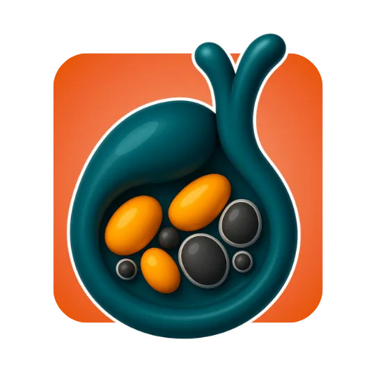 Gallbladder Mixed Stones