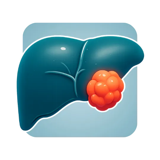 Liver Cancer