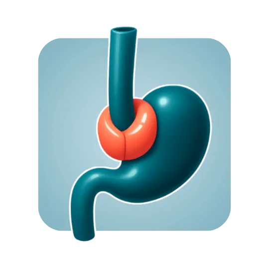 Robotic Fundoplication