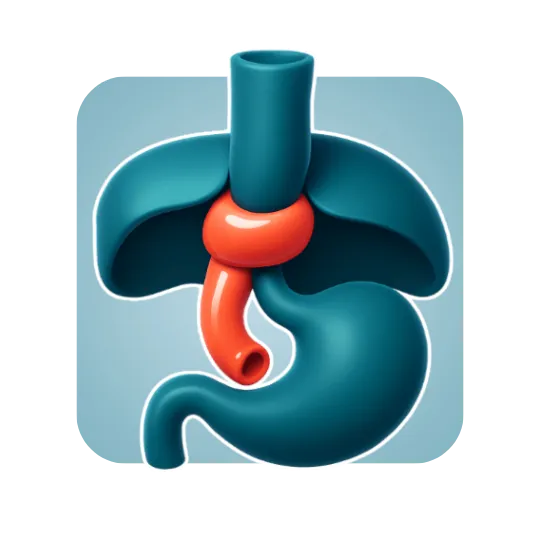 Robotic Hiatal Hernia Repair