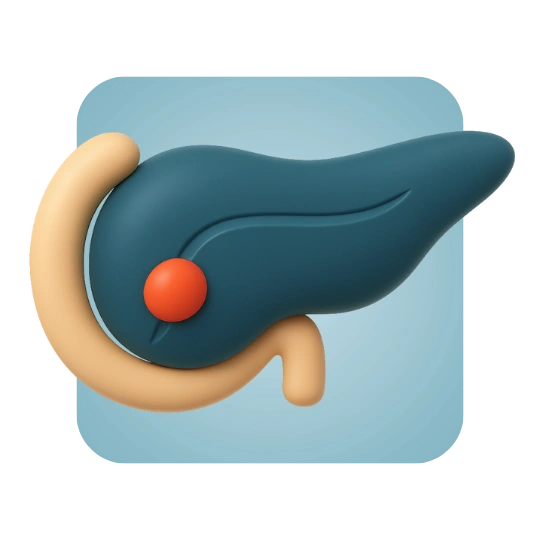 Pancreatic Duct Obstruction