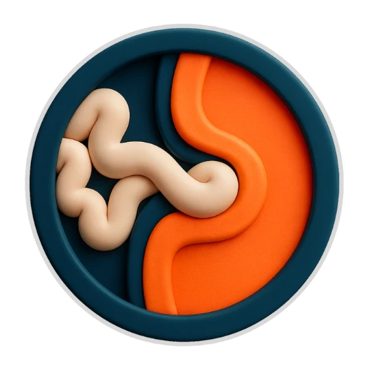 What is Hernia Know everything you need to know about