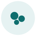gallstones icon