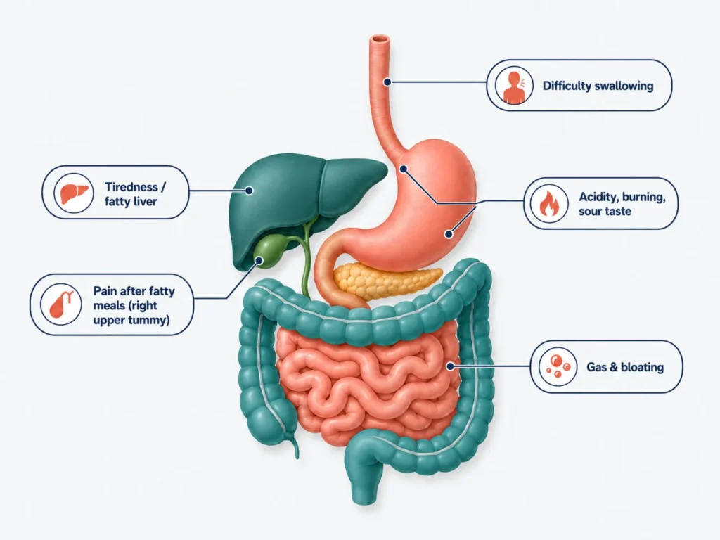 Understanding Your Digestive Problem Gi Specialist Ahmedabad